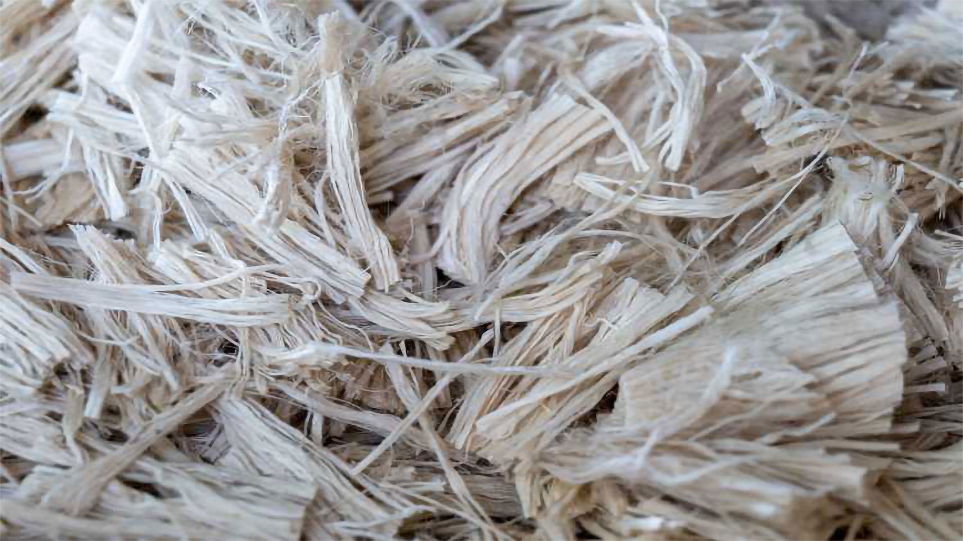 How Piñatex Is Reshaping Fashion Sustainability